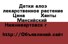 Детки алоэ,лекарственное растение › Цена ­ 150 - Ханты-Мансийский, Нижневартовск г.  »    